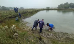 Civil apreende celulares e carregadores em cela