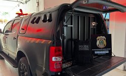 PF prende investigado por crimes de abuso sexual infantil