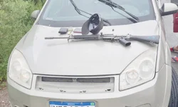 Azeite de oliva gaúcho recebe reconhecimento