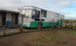 Bagé volta a contar com Castramóvel