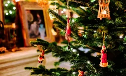 Escritora de Santa Maria lança financiamento para livro sobre o RS