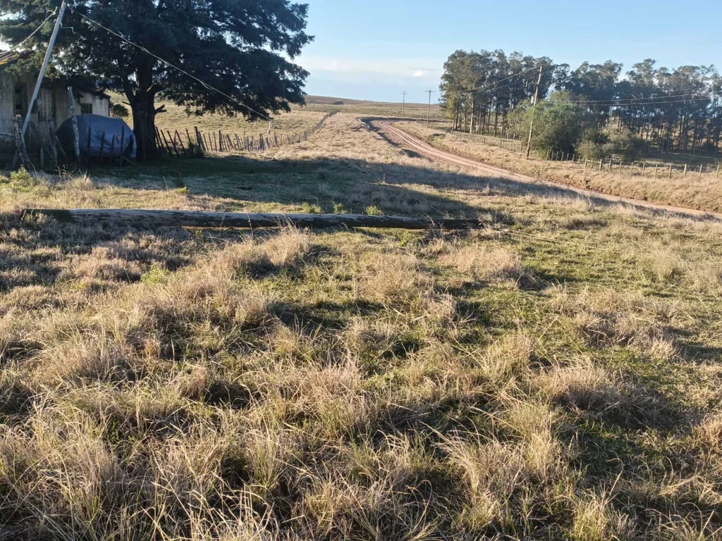 Moradores da Serrilhada ficam oito dias sem luz