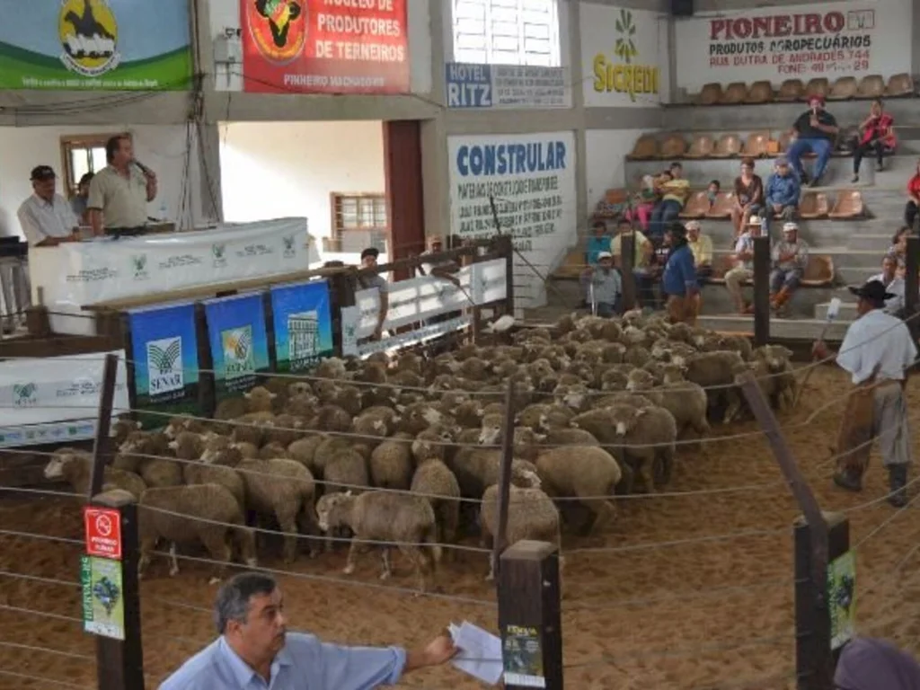 Feovelha enaltece e valoriza o setor de ovinocultura