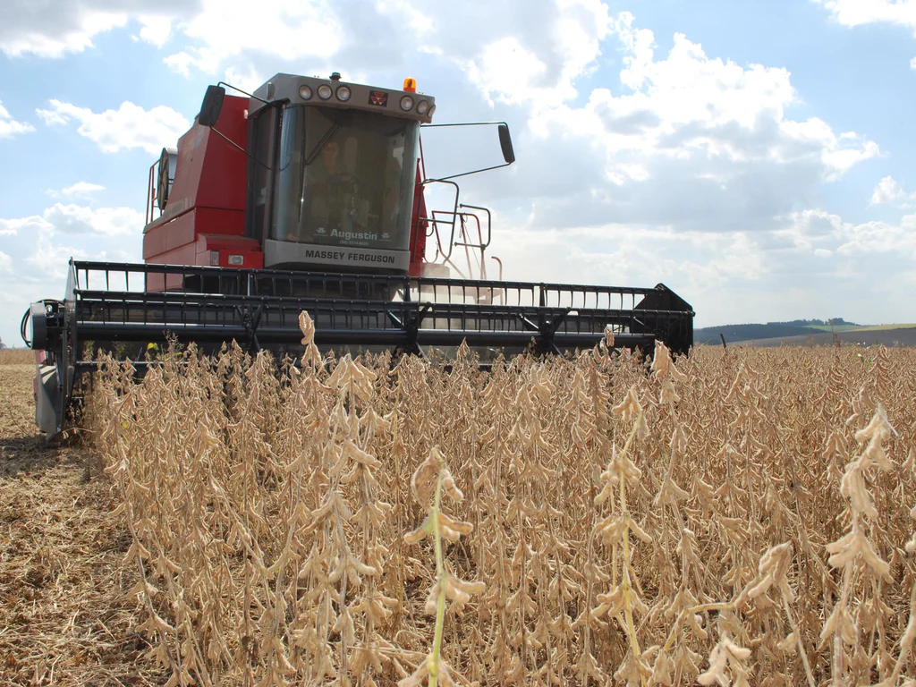 Safra gaúcha terá queda apesar de recorde nacional