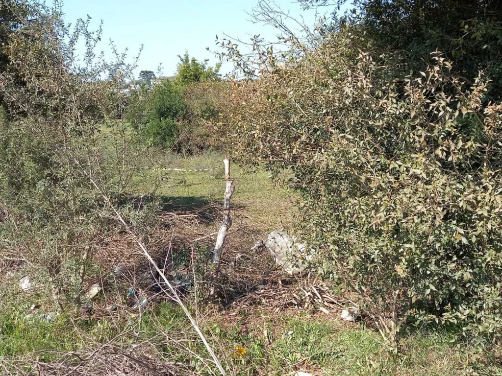 Corpo é encontrado no bairro Floresta