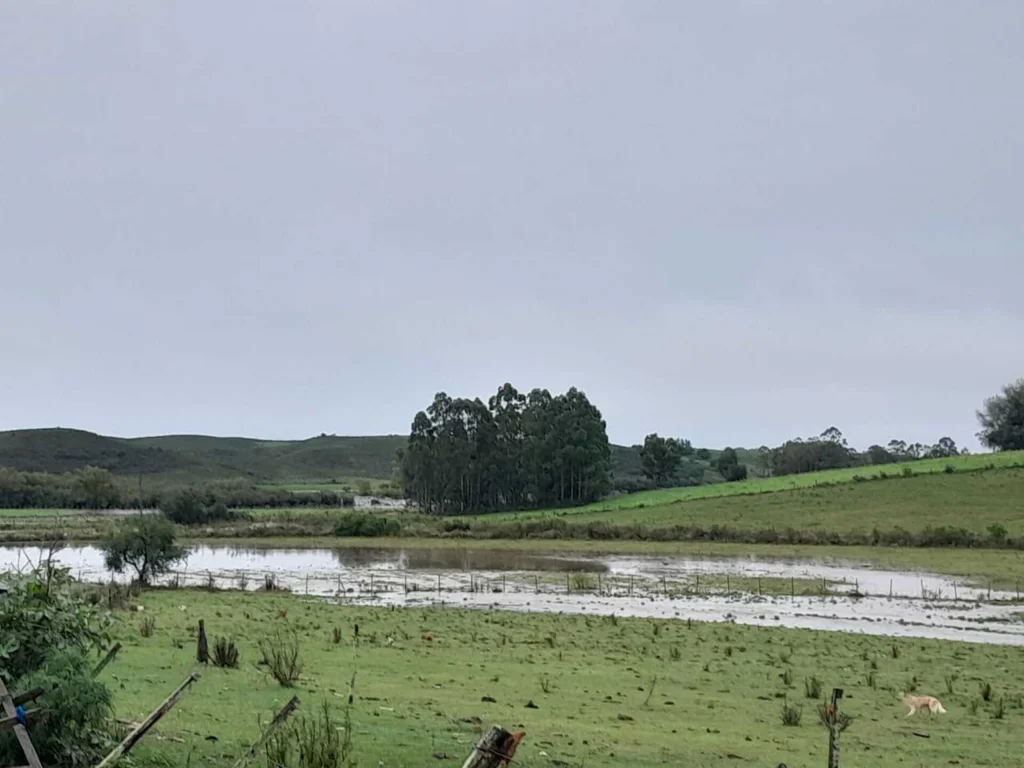Chuva muda cenário da região