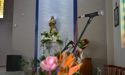 Queda de internações é proporcional ao avanço da vacinação