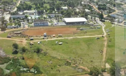 Mais de 1,7 mil animais foram comercializados em 2024