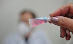 PL quer obrigar denúncia de maus-tratos em condomínios