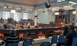 Comissão da Câmara enterra Veto Popular