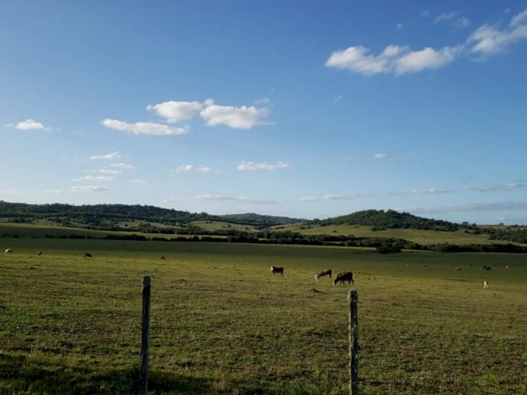 Prefeitos não descartam decretos de emergência ou calamidade