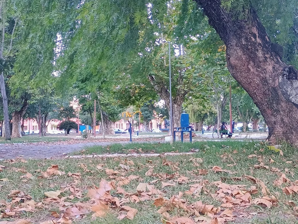 Começa o outono, estação das noites frias e tardes quentes