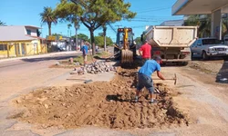 Queda de granizo na região mata 50 pássaros