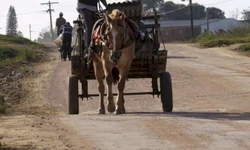 Vereadora Beatriz irá disputar uma vaga na Câmara Federal