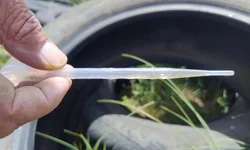 Banca reconhece falha e Universidade acompanha apuração