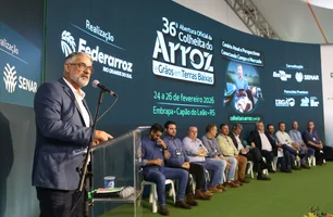 Orizicultura gaúcha cobra crédito, seguro e equidade