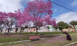 Mainardi, Adriana e Hamm são eleitos