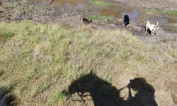 Obra RSC-473 é da morosidade e de controvérsias