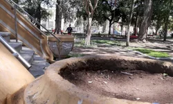 Alerta é para período de infestações de carrapatos