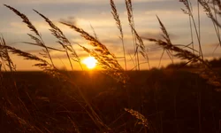 Altas temperaturas impactam venda de bebidas e alimentos