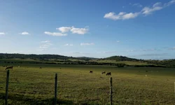 Diferenças entre federações partidárias e coligações