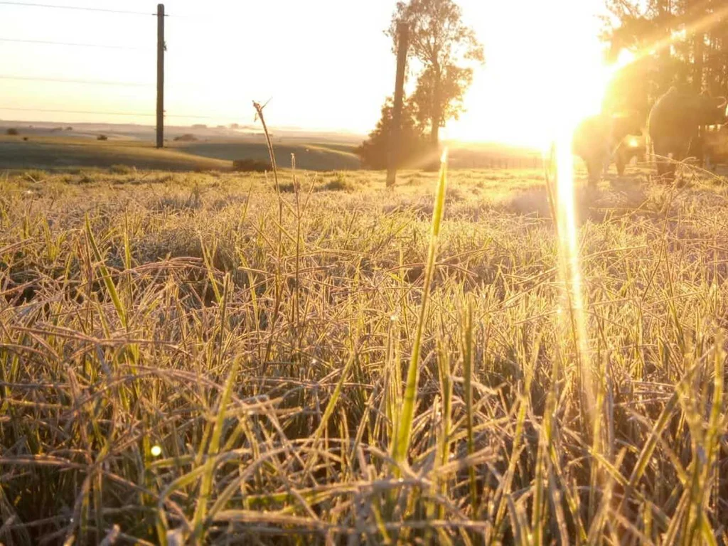 Segunda-feira gelada na Campanha