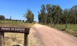 Queda de granizo na região mata 50 pássaros