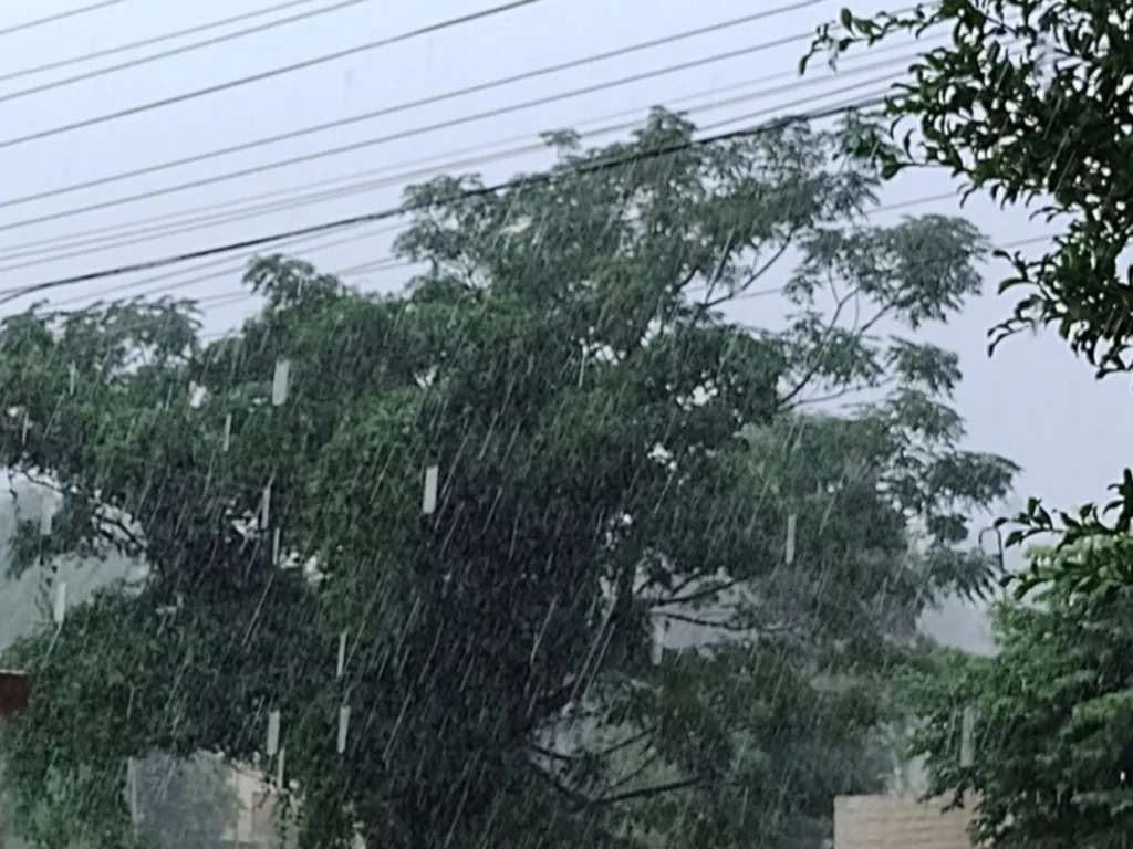 Abril começa com frio na região da Campanha