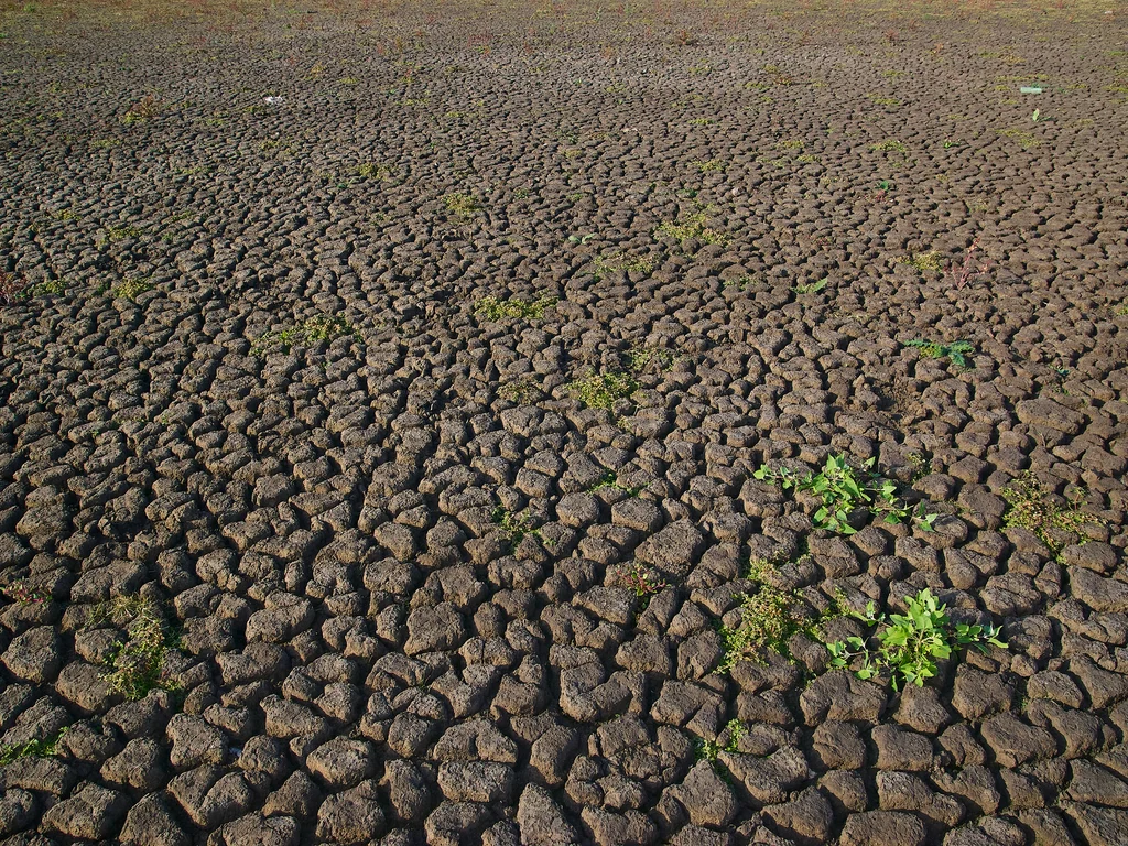 Situação de emergência