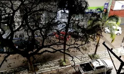 Hamm indica R$ 100 mil para o caminho da Luz