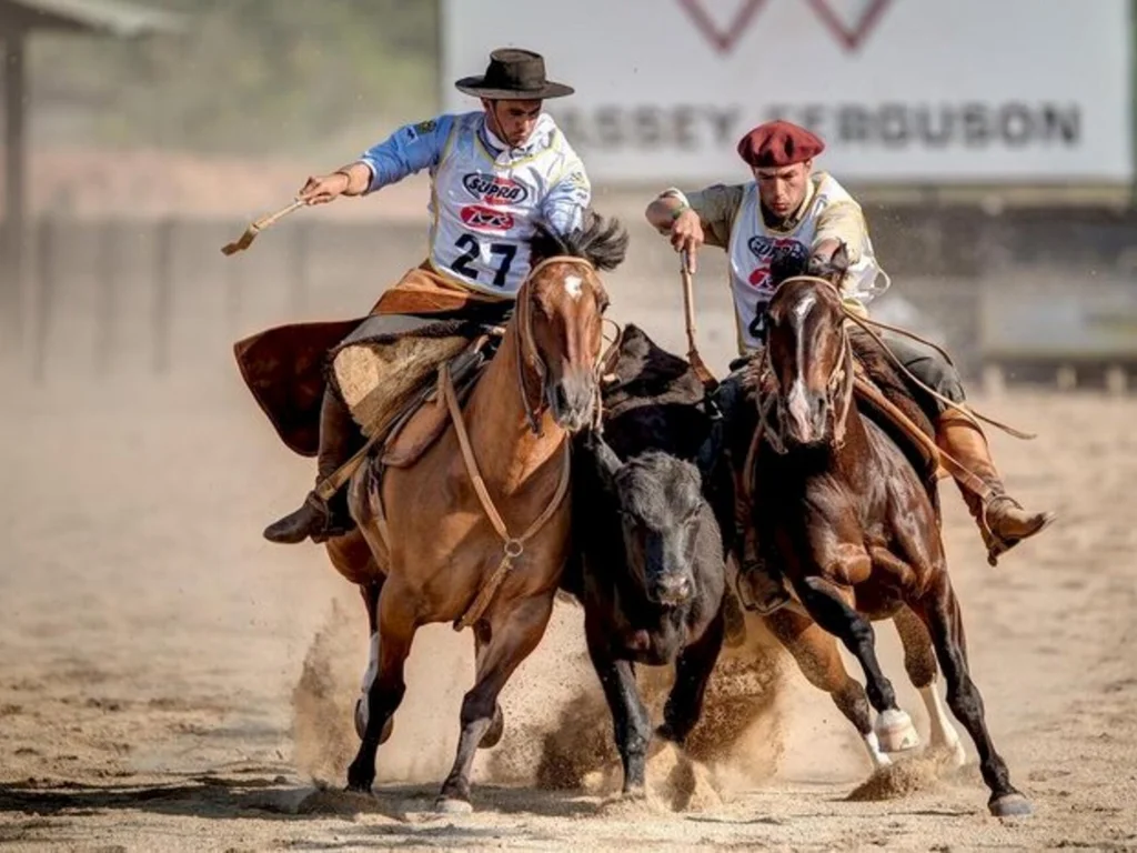 Mais de 160 duplas participam de final da paleteada