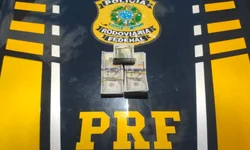 Diferenças entre federações partidárias e coligações