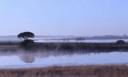 Exposição MISTURAGEM 2 recebe inscrições até dia 18