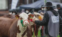 Prêmio valoriza produtores de leite