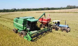 PIB do RS atinge maior nível da série histórica