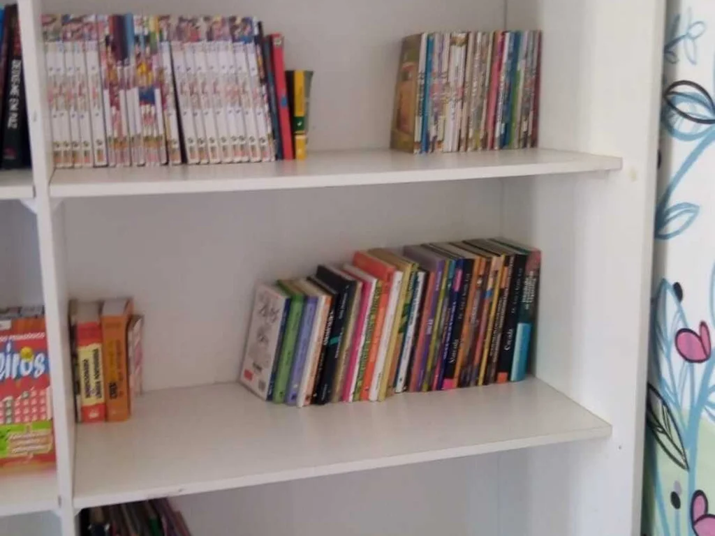 Casa da Menina organiza biblioteca e pede doações