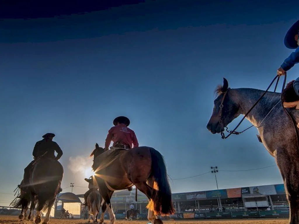 Campeonatos do Cavalo Crioulo são uma festa a parte na Expointer