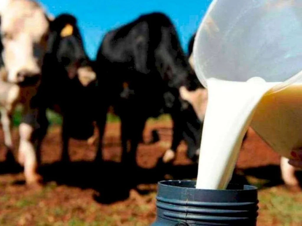 Comissão da Fetag discute cadeia produtiva do leite