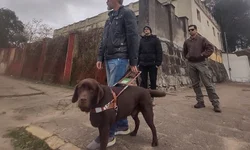 O esporte como aliado às terapias de pessoas com deficiência