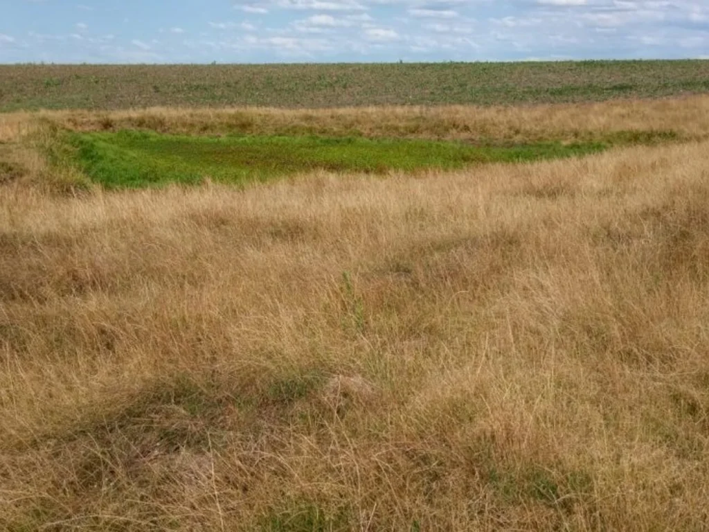 Trabalhadores rurais detalham prejuízos da estiagem