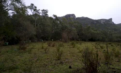 Operação Fênix realiza prisões e apreensões