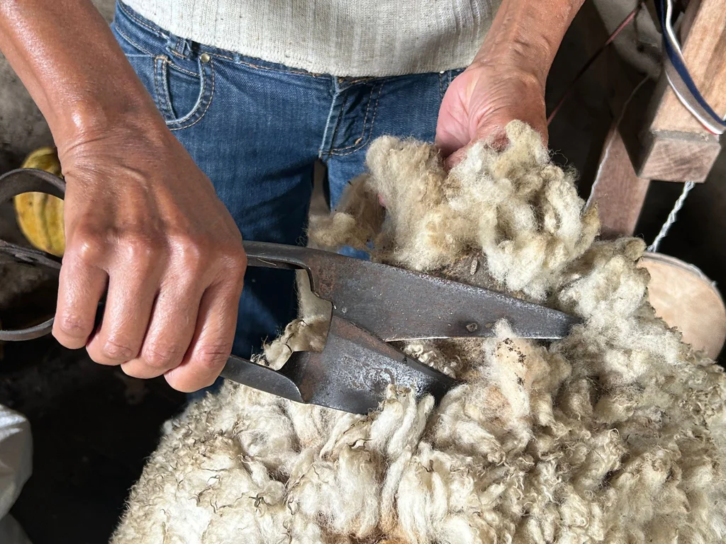 Curso Rota da Lã chega a Caçapava do Sul e Dom Pedrito