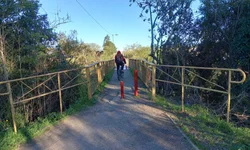 Dupla vai a julgamento por crime no centro da cidade