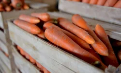 Dois pré-candidatos a governador em Bagé