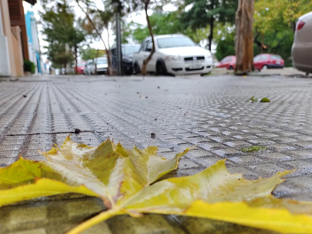 Previsão aponta dias de temperaturas amenas para a Campanha