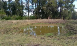 Obra RSC-473 é da morosidade e de controvérsias