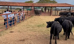 Prêmio valoriza produtores de leite