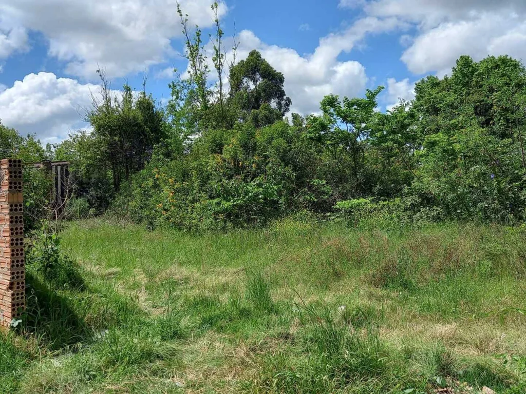 Delegados de polícia falam sobre construção de Centro Avançado de Perícias