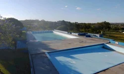 Azeite de oliva gaúcho recebe reconhecimento