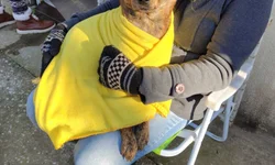 Impasse em sepultamento expõe restrições em cemitério na Vila Industrial